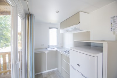 Deluxe Mobile Home Fourth Raw — 4