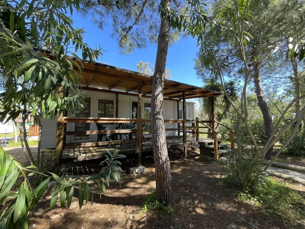 Deluxe Barrili Mobile Home B Type