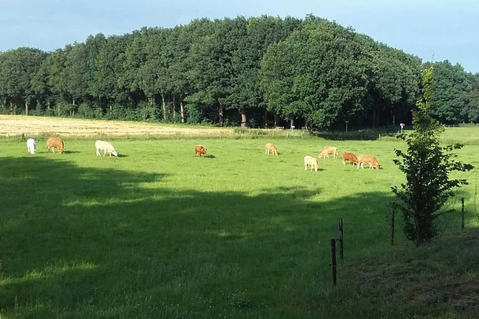 Hoeve Linnerveld