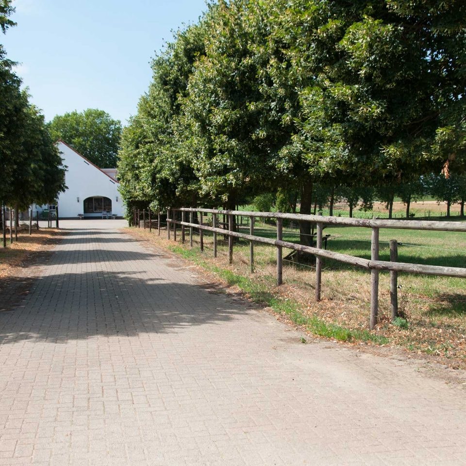 Hoeve Linnerveld — Photo 9