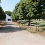 Foto #9 van Hoeve Linnerveld