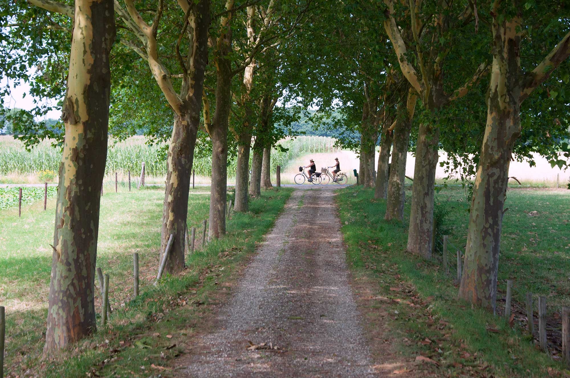 Hoeve Linnerveld — Photo 6