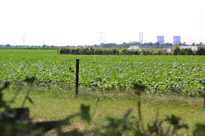Sind Hunde auf Hoeve Linnerveld erlaubt? - Photo 2