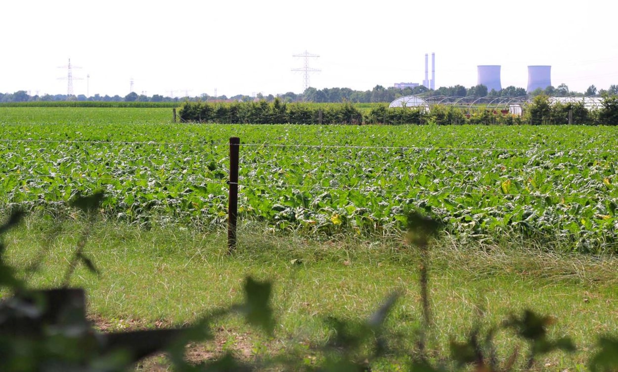 Hoeve Linnerveld