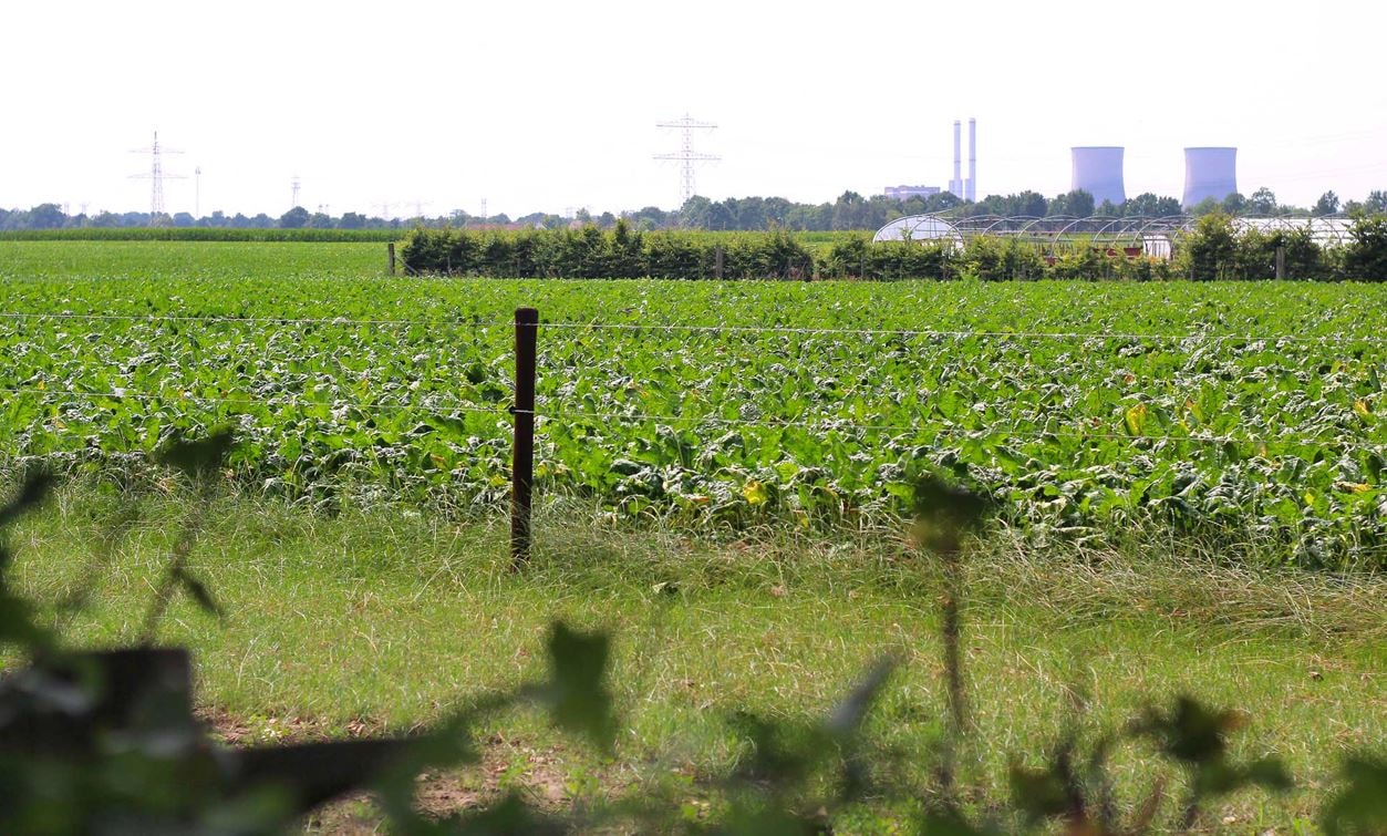 Hoeve Linnerveld — Photo 8