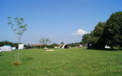 Hiker pitch