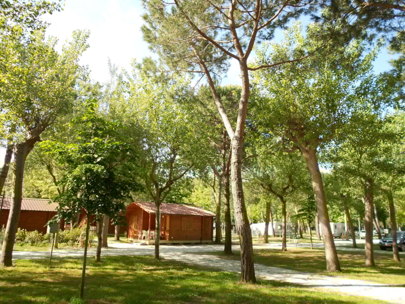 Chalet Standard