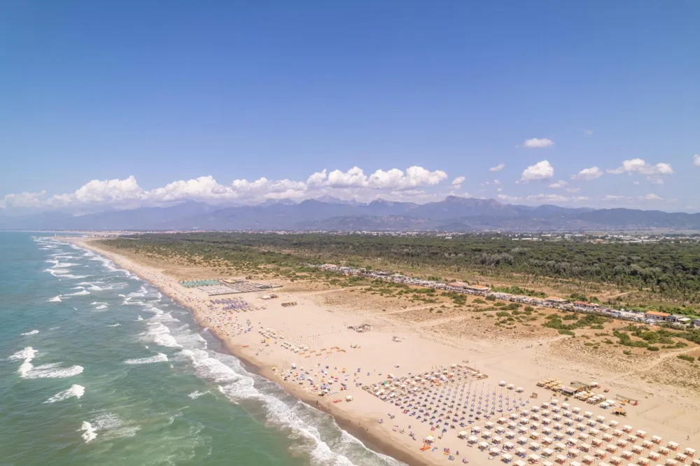 Club del Sole Viareggio Family Collection
