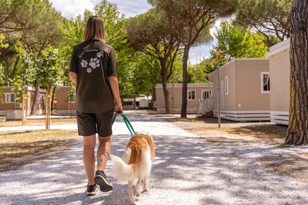 Club del Sole Viareggio Family Collection