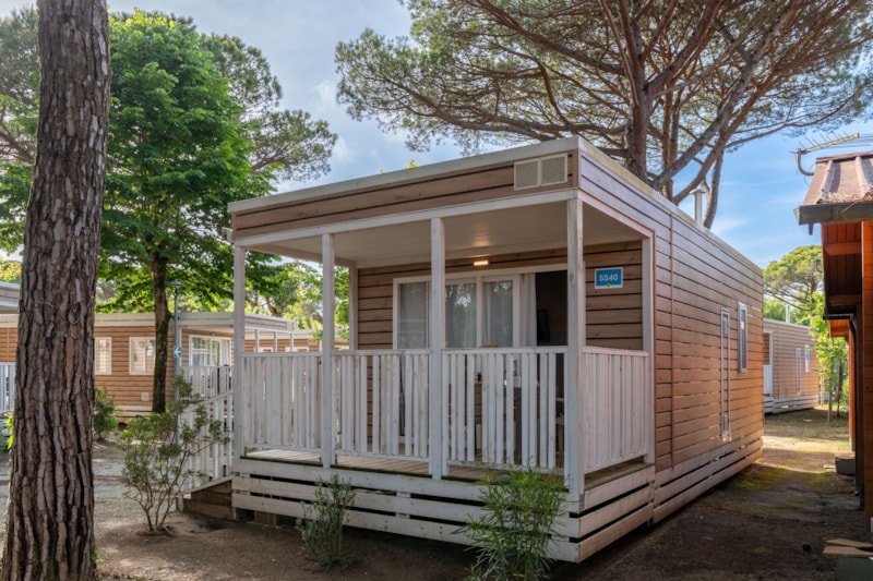 Lodge Comfort Haustiere erlaubt