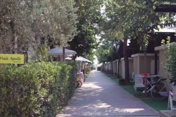 Kampeerplaats(en) - Standplaats Helios - Heliopolis Camping & Village