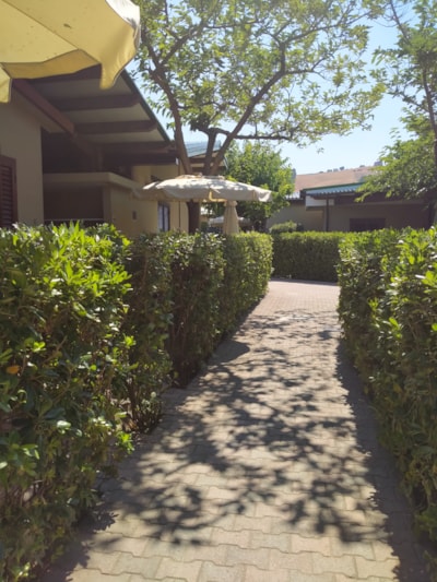 House two-roomed