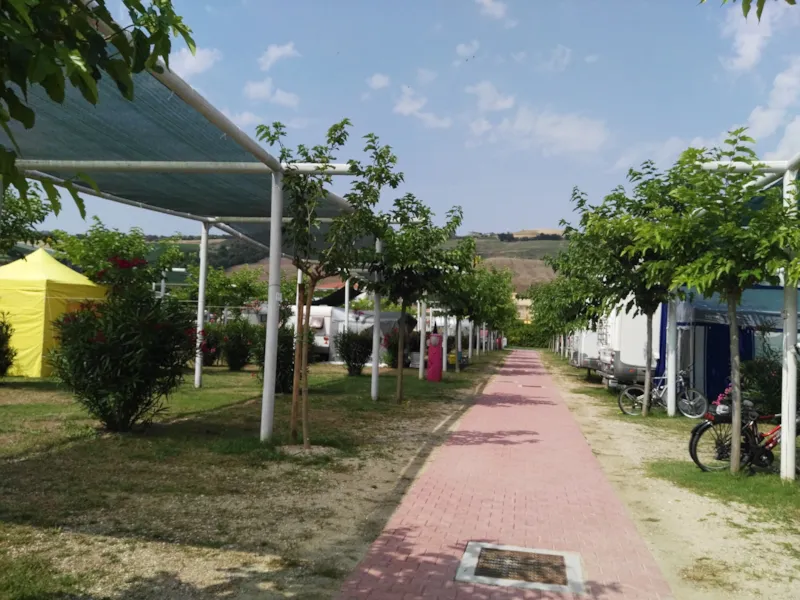 Emplacement Oleandri 6X8 M.