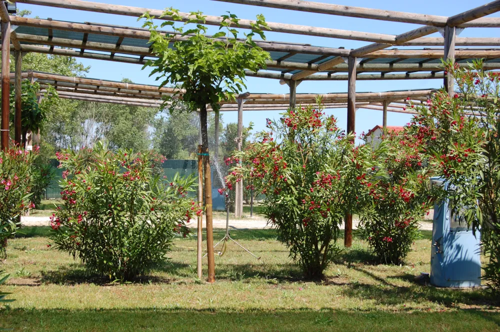 Emplacement - Piazzola Oleandri Xxl - Heliopolis Camping & Village