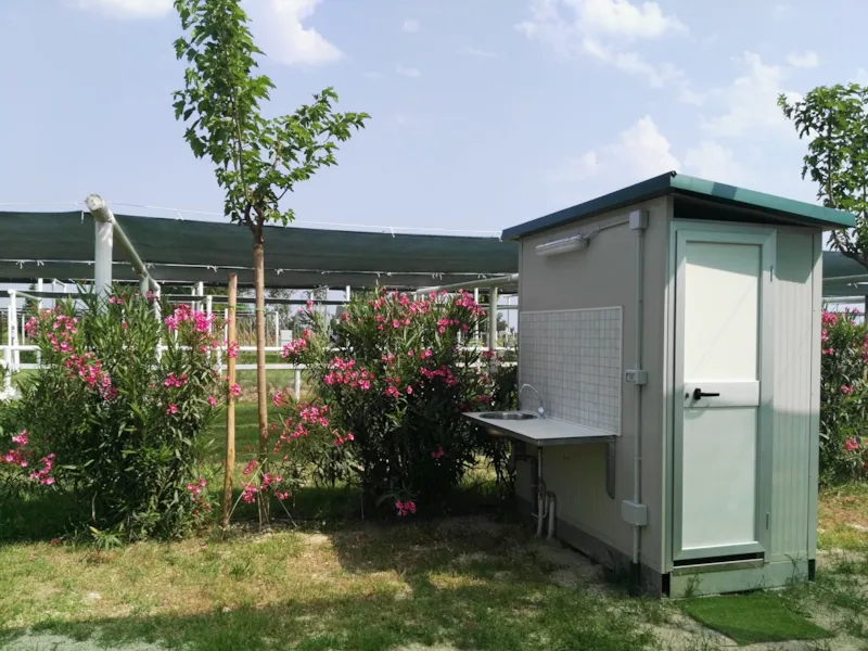 Emplacement Oleandri 6X8 M. Avec Sanitaires