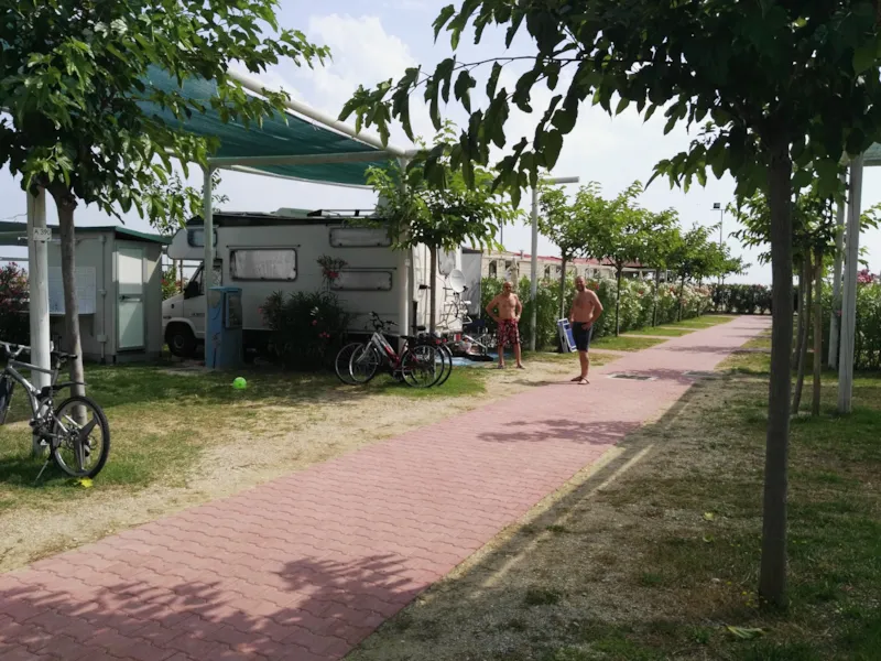 Emplacement Oleandri 6X8 M. Avec Sanitaires