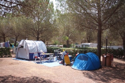 Pitch small tent 2x2 — 8
