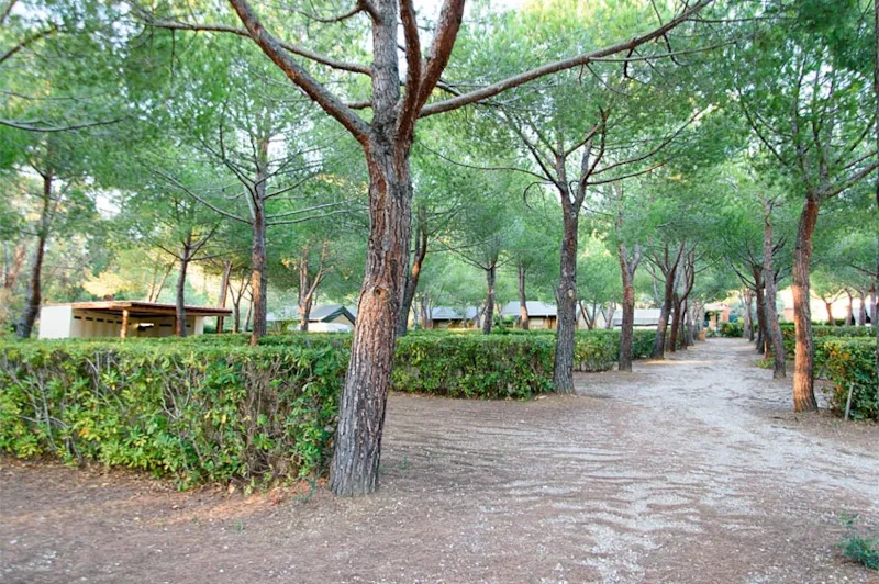 Emplacement Camping-Car