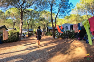Pitch motor home/Caravan/Autotent — 5