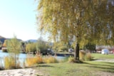Foto #3 van Pielachtal Camping