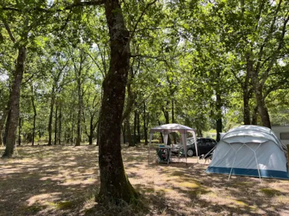 Piazzola Tienda, Caravana, Autocaravana