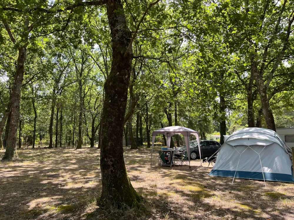 Pitch tent, caravan or motor home