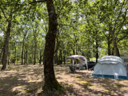 Kampeerplaats(en) - Standplaats Tent, Caravan Of Camper - Camping du Vieux Moulin