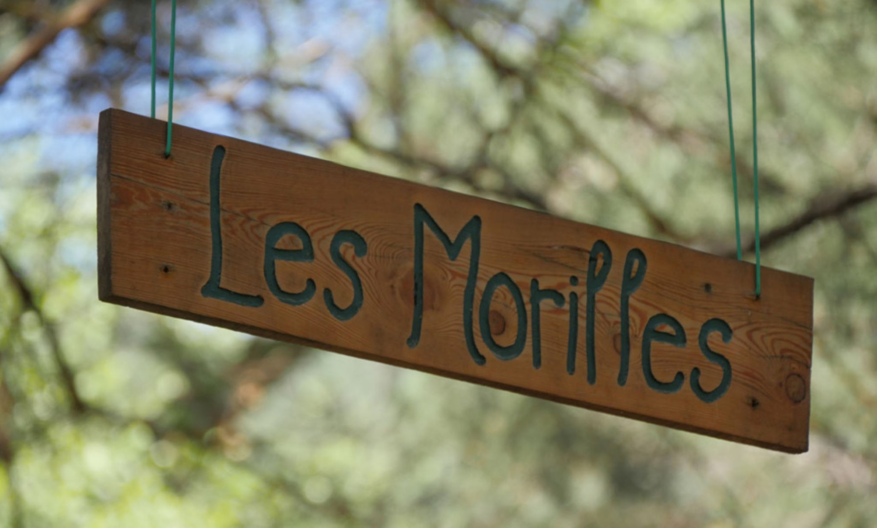 Camping la Cabane