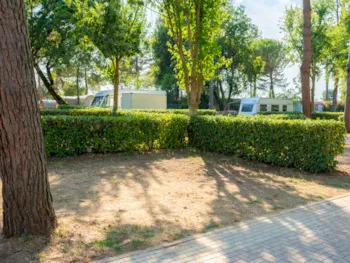 Stellplatz - Platz Comfort - Trasimeno Glamping Resort