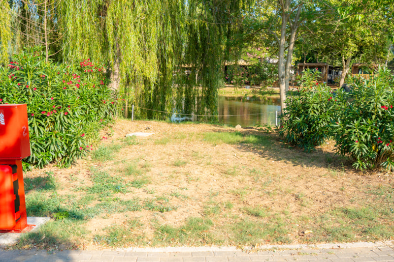 Platz Standard Laguna