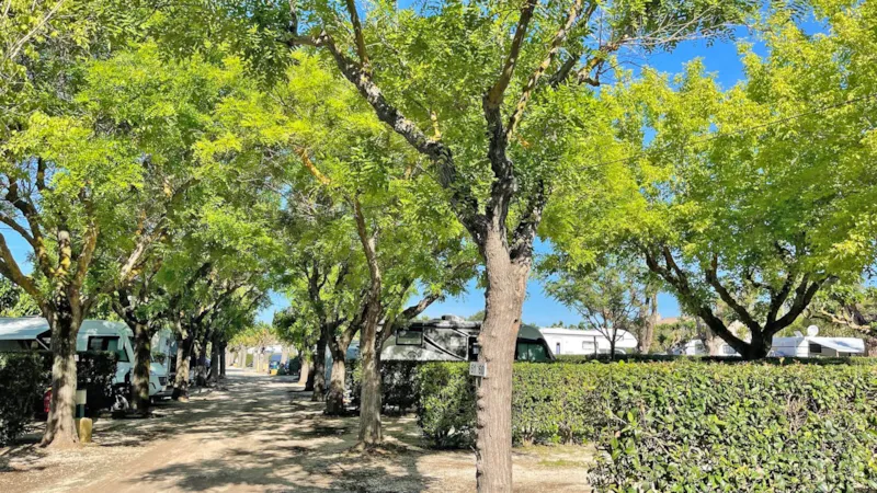 Emplacement Tente, Caravane Ou Camping Car