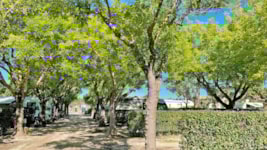 Plaatsing tenten, caravans of campers