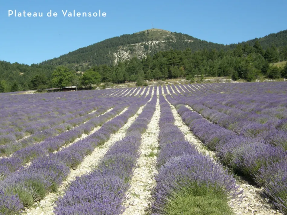 Clico Chic - Camping Castillon de Provence