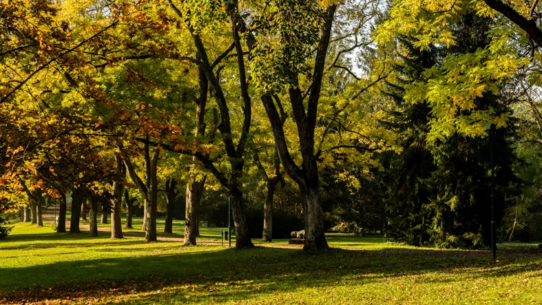 Genuss-Campingplatz Bad Gleichenberg