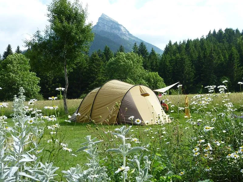 Parcela : caravan or tent + car or camping-car