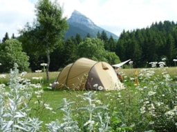 Kampeerplaats(en) - Standplaats: Tent Of Caravan + Auto Of Camper Zonder Elektriciteit - Sites et Paysages De Martinière