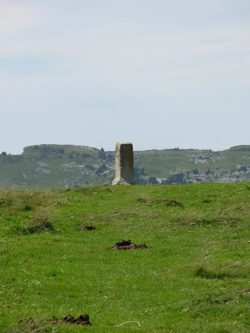 Sites et Paysages De Martinière