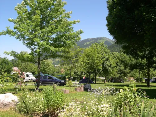 Emplacement - Emplacement Nature : 1 Installation + 1 Véhicule Sans Éléctricité - image n°6 - Sites et Paysages De Martinière