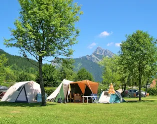Sites et Paysages De Martinière - image n°3 - Camping Direct