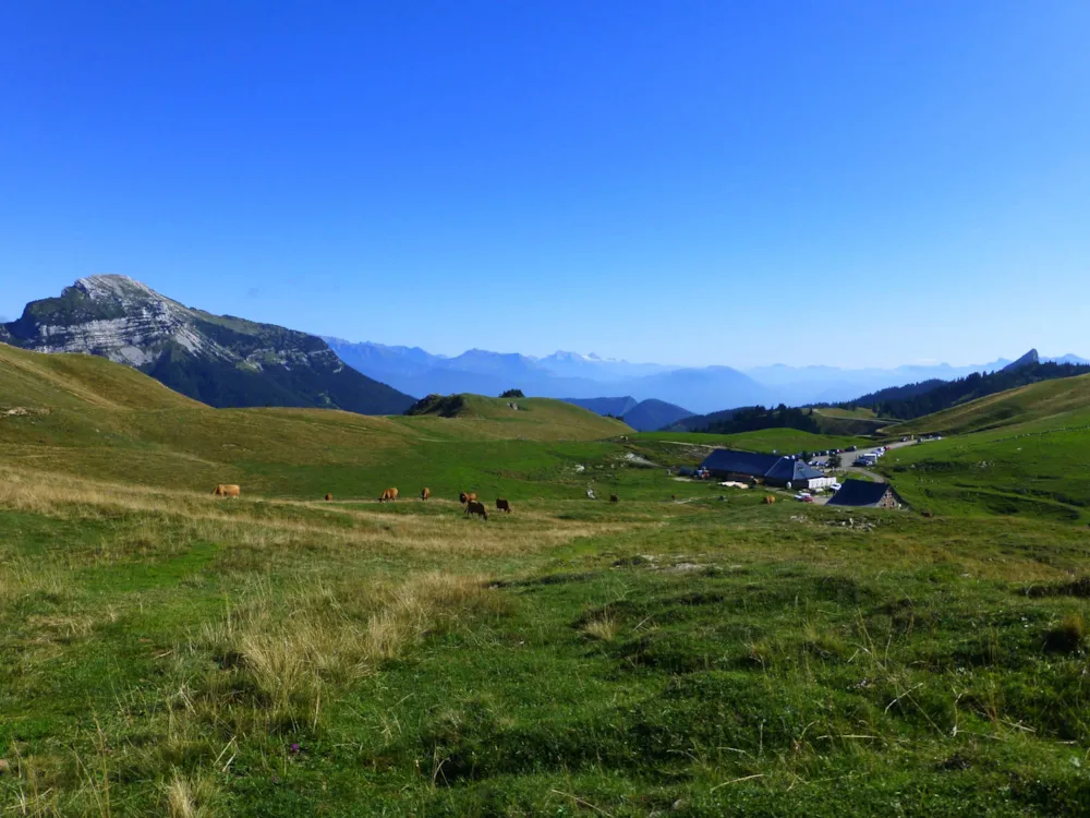 Sites et Paysages De Martinière