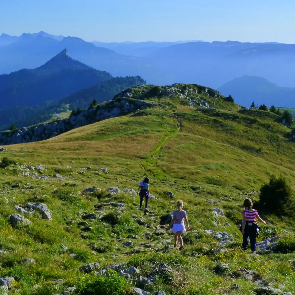 Sites et Paysages De Martinière - image n°38 - RhoneAlpes