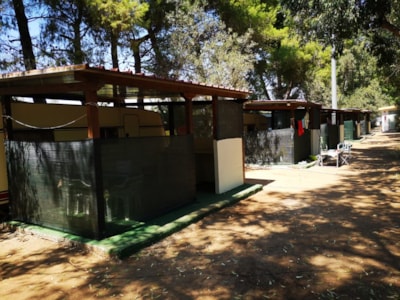 Caravan