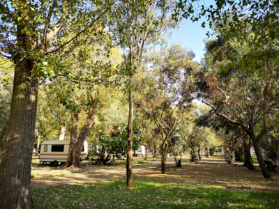 Village Camping Fico d'India