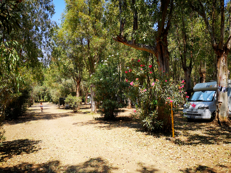 Village Camping Fico d'India — Photo 8