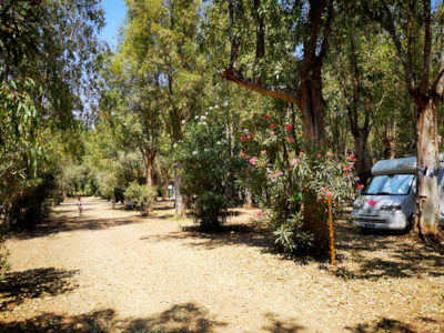 Village Camping Fico d'India