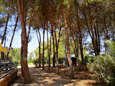 Village Camping Fico d'India