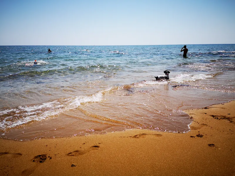 Village Camping Fico d'India