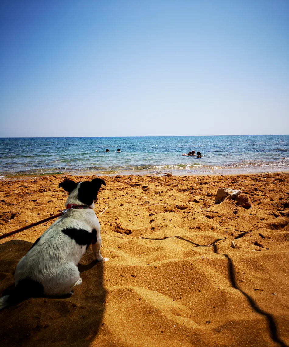 Village Camping Fico d'India