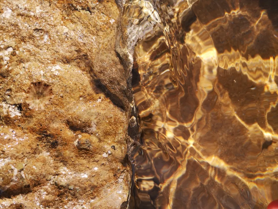 Village Camping Fico d'India