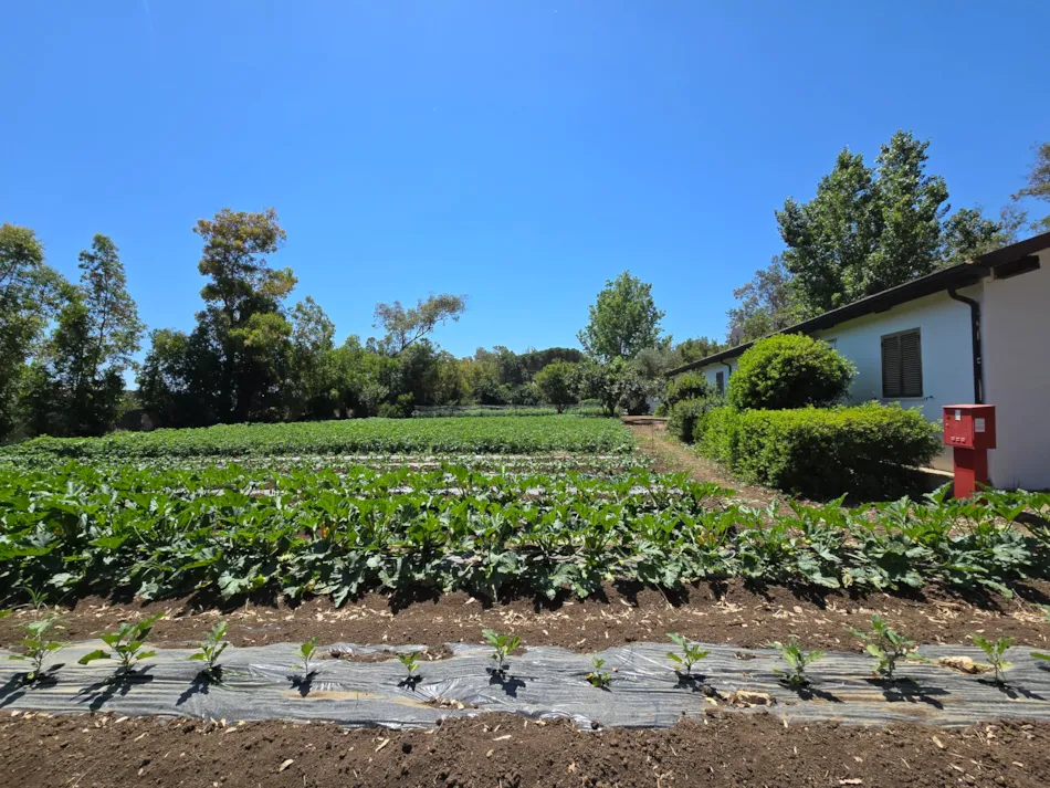 Village Camping Fico d'India